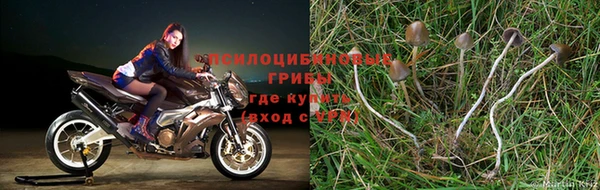 крисы Алексеевка