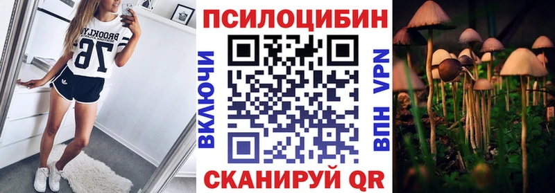 Псилоцибиновые грибы Psilocybe купить Узловая
